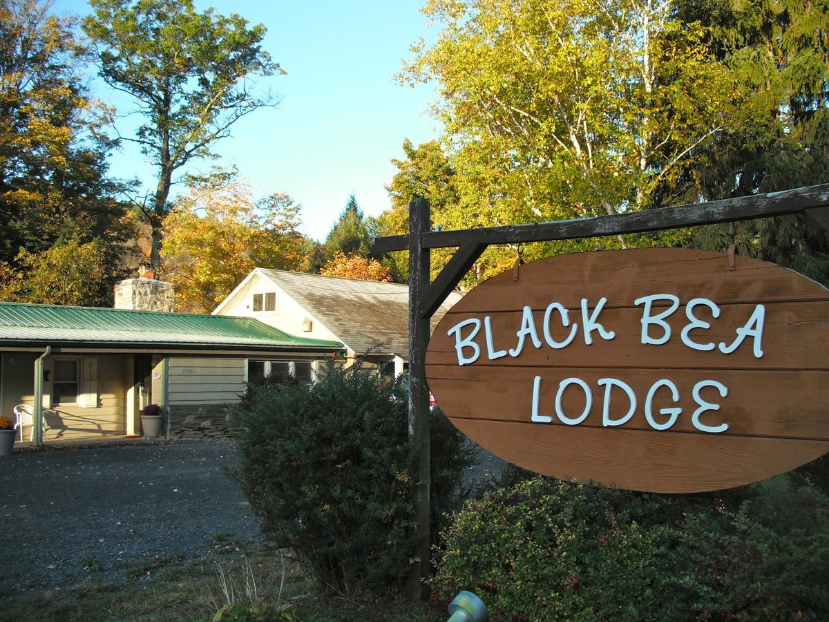 Black Bear Lodge Prattsville Extérieur photo